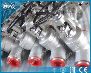 دریچه دروازه جعلی WB