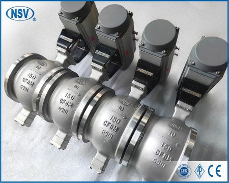 IMG20250225130851 IMG20250225130851